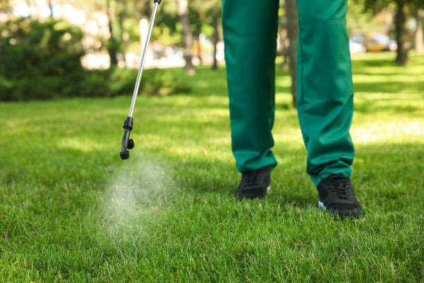 Best Pest Prevention Services  in Georgetown, KY
