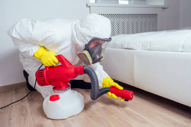 Best Bed Bug Extermination  in Georgetown, KY