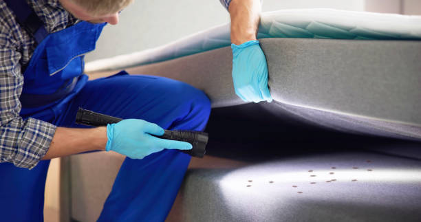 Reliable Georgetown, KY Pest Control Solutions